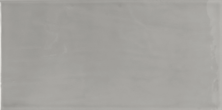 Riquadri Grigio Scuro, Matt, 13.2x26.6cm, 9.00mm, not-rectified