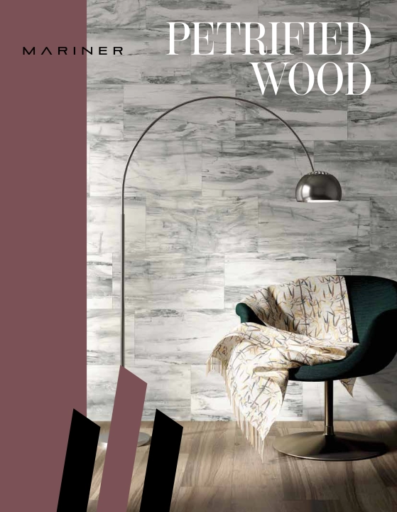 Petrified Wood