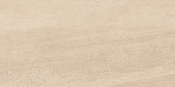 Eddystone Arena, Natural, 60x120cm, 10.00mm, Rectified