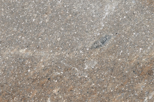 Midlake D2O2 - Porfido, Structured r11, 60x90cm, 20.00mm, Rectified