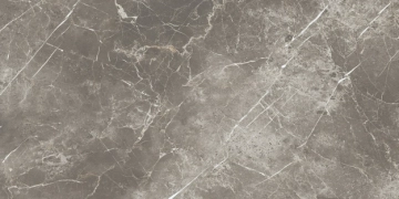 Elements Lux ECC2 - Persian Grey, Silky, 60x120cm, 9.00mm, Rectified