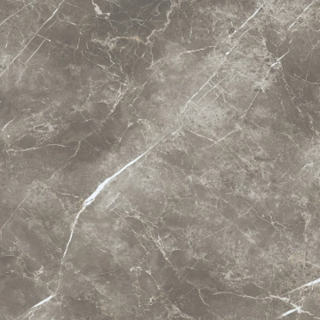 Elements Lux ECE3 - Persian Grey, Silky, 60x60cm, 9.00mm, Rectified