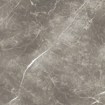 Elements Lux ECB2 - Persian Grey, Silky, 120x120cm, 9.00mm, Rectified