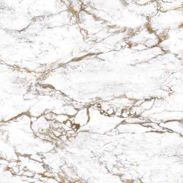 Interno4 EB1C - Breccia Tortona, Lappato, 120x120cm, 9.00mm, Rectified