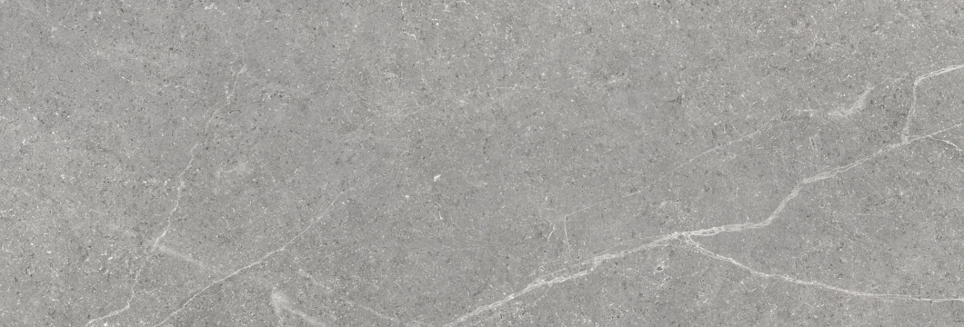 Storm Wall 300000000000020977 - Grey, Mate, 40x120cm, 10.80mm, Not rectified