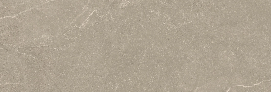 Storm Wall 300000000000020979 - Earth, Mate, 40x120cm, 10.80mm, Not rectified