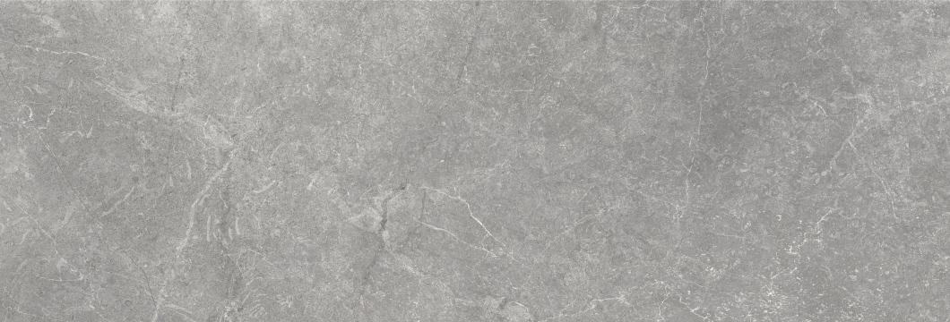 Storm Wall 300000000000021033 - Grey, Mate, 25x75cm, 8.70mm, Not rectified