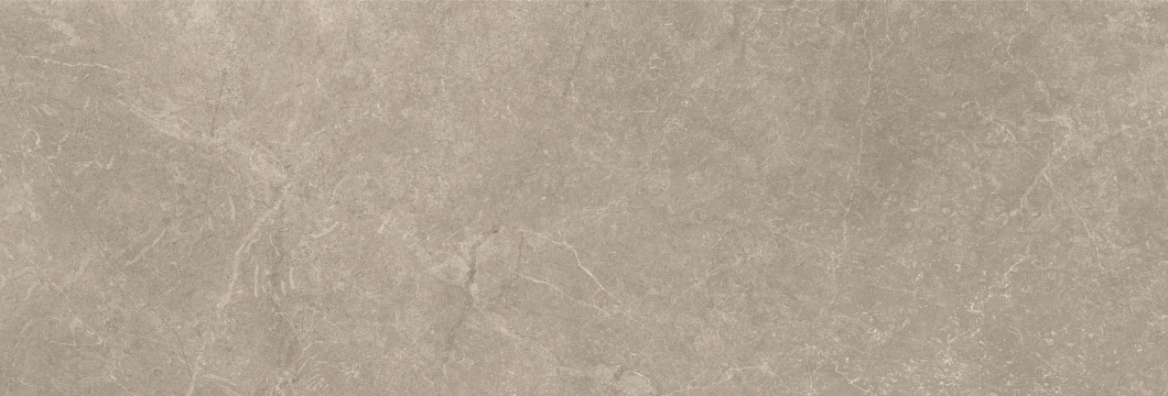 Storm Wall 300000000000021035 - Earth, Mate, 25x75cm, 8.70mm, Not rectified