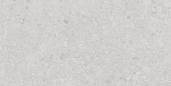 Flodsten 300000000000010399 - Artic, Mate, 60x120cm, 10.00mm, Rectified