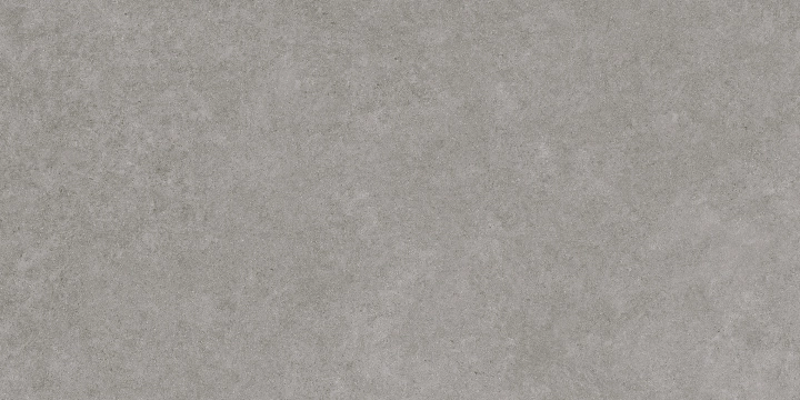 Rex 300000000000039738 - Grey, Mate, 60x120cm, 9.00mm, Rectified