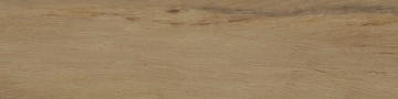 I Lecci 1086627 - Leccio Oliato, Naturale, 10x40cm, 9.50mm, Not rectified