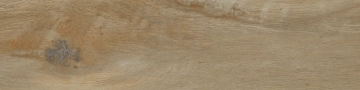 I Lecci 1086625 - Leccio Classico, Naturale, 10x40cm, 9.50mm, Not rectified