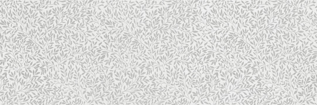Slow Wall Decoro Myrtle MPC1 - Gesso, Matt, 40x120cm, 9.00mm, Rectified