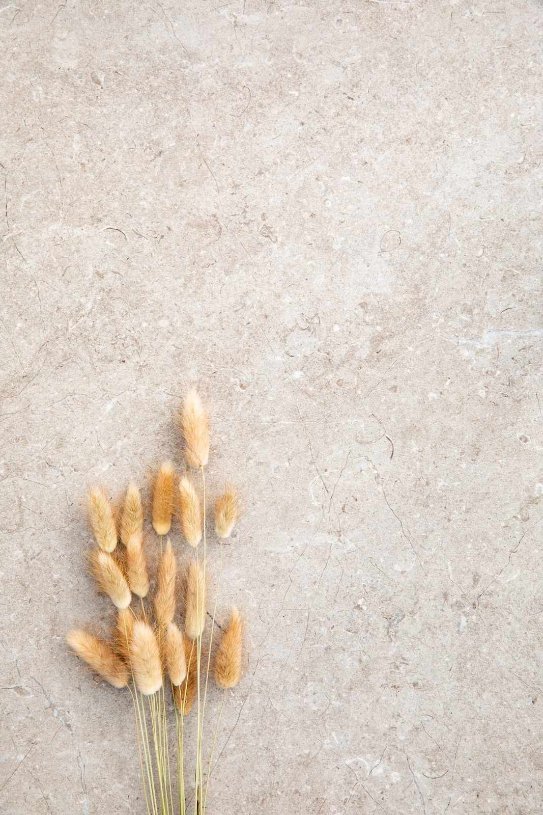 Marazzi Mystone Limestone, Stone