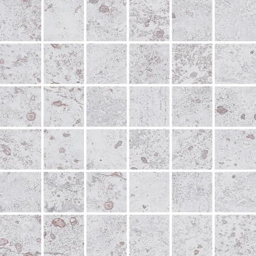 Sonora Mosaico 5x5 8430828329397 - White, Natural, 29.75x29.75cm, 10.00mm, Not rectified