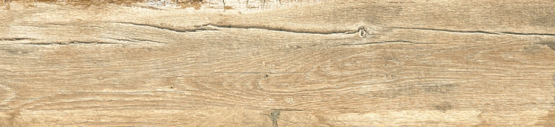 Jasper 128954 - Branch, Naturale, 23x100cm, 9.00mm, Not rectified