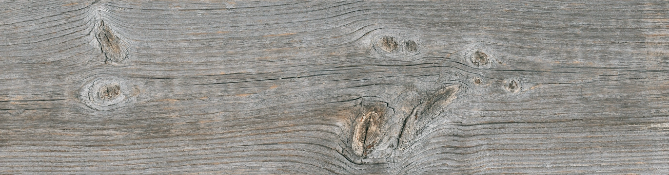 Foresta M03 - Grey, Matt, 20x60cm, 9.50mm, Not rectified
