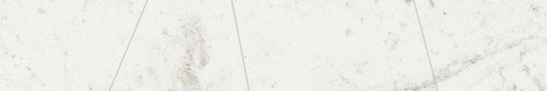 Lux Experience Listello Mix Argento MW01EAMA - Statuarietto, Mix, 20x120cm, 9.00mm, Not rectified