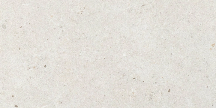 Silver Grain + Ceppo Di Gre' - Silver Grain White, Naturale, 30x60cm, 9.00mm, Rectified