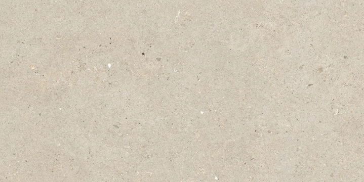 Silver Grain + Ceppo Di Gre' - Silver Grain Beige, Naturale, 30x60cm, 9.00mm, Rectified