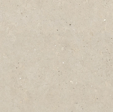 Silver Grain + Ceppo Di Gre' - Silver Grain Beige, Naturale, 60x60cm, 9.00mm, Rectified