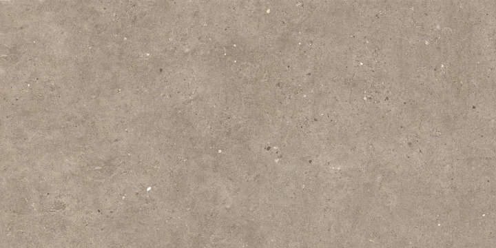 Silver Grain + Ceppo Di Gre' - Silver Grain Taupe, Naturale, 60x120cm, 20.00mm, Rectified