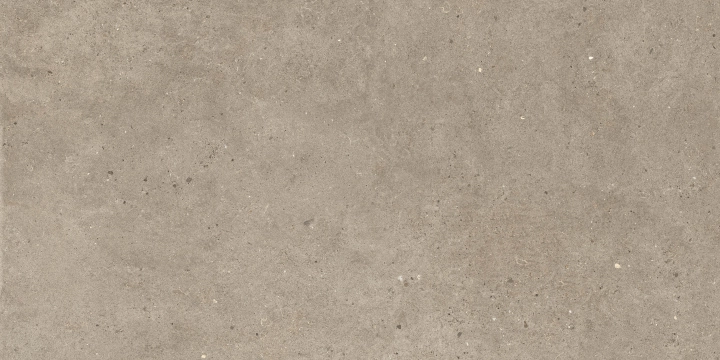 Silver Grain + Ceppo Di Gre' - Silver Grain Taupe, Antislip, 60x120cm, 9.00mm, Rectified