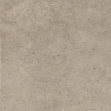 Silver Grain + Ceppo Di Gre' - Silver Grain Taupe, Naturale, 60x60cm, 9.00mm, Rectified