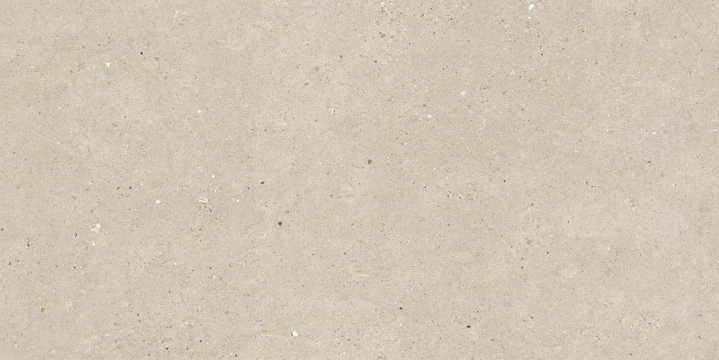 Silver Grain + Ceppo Di Gre' - Silver Grain Beige, Antislip, 60x120cm, 9.00mm, Rectified
