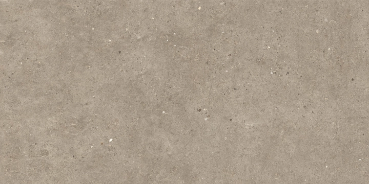 Silver Grain + Ceppo Di Gre' - Silver Grain Taupe, Naturale, 60x120cm, 9.00mm, Rectified