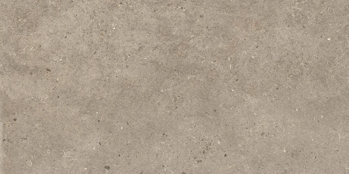 Silver Grain + Ceppo Di Gre' - Silver Grain Taupe, Naturale, 30x60cm, 9.00mm, Rectified