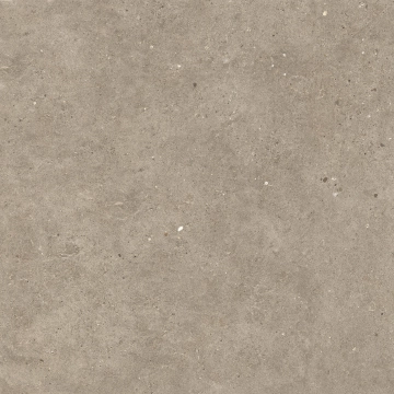 Silver Grain + Ceppo Di Gre' - Silver Grain Taupe, Naturale, 80x80cm, 9.00mm, Rectified