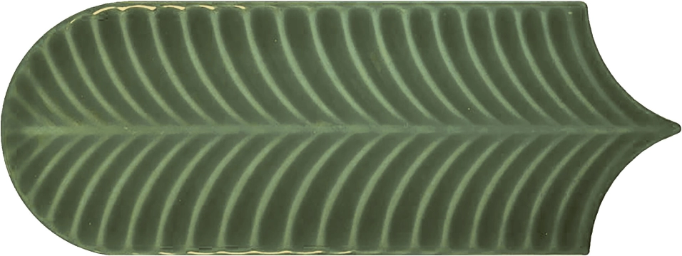 Alma 300000000000059811 - Green, Brillo, 8x21.5cm, 8.00mm, Rectified