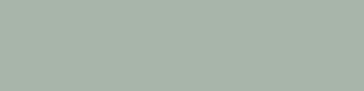 Timeless 300000000000042989 - Jade, Matt, 7.5x30cm, 8.60mm, Rectified