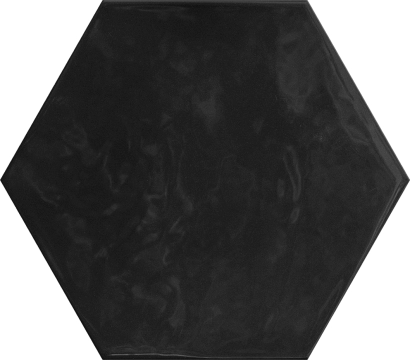 Hexa TTHXW09G - Black Swan, Glossy, 6.81x5.91
