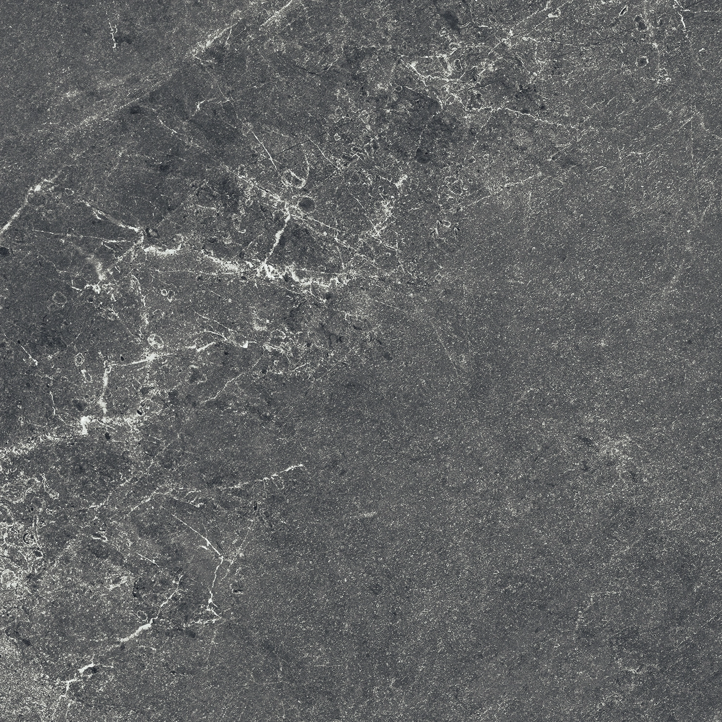 e1418f2ed95c365e1639ed3e8f4a2a