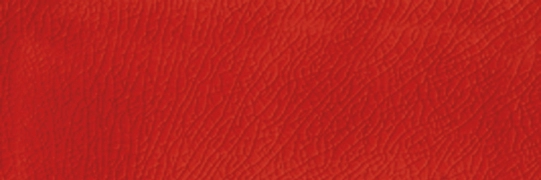 Pitrizza Rosso Vivo, Naturale, 10x30cm, 10.00mm, Not rectified