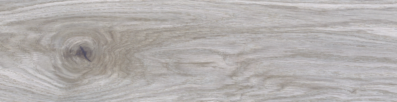Santa Cruz EMP60 - Gris, Mate, 15.3x58.9cm, 10.00mm, Not rectified