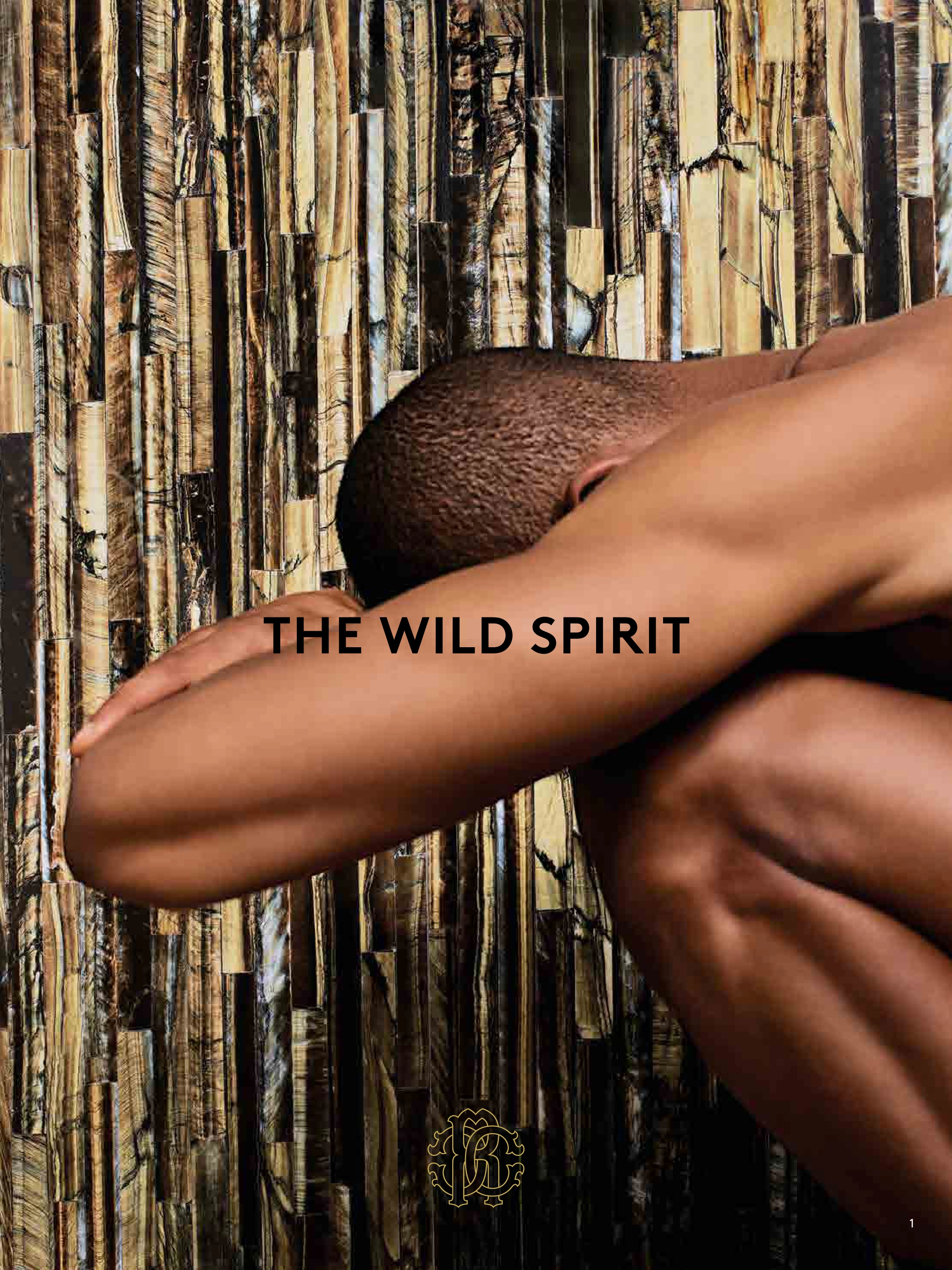 rchlt_thewildspirit_brochure
