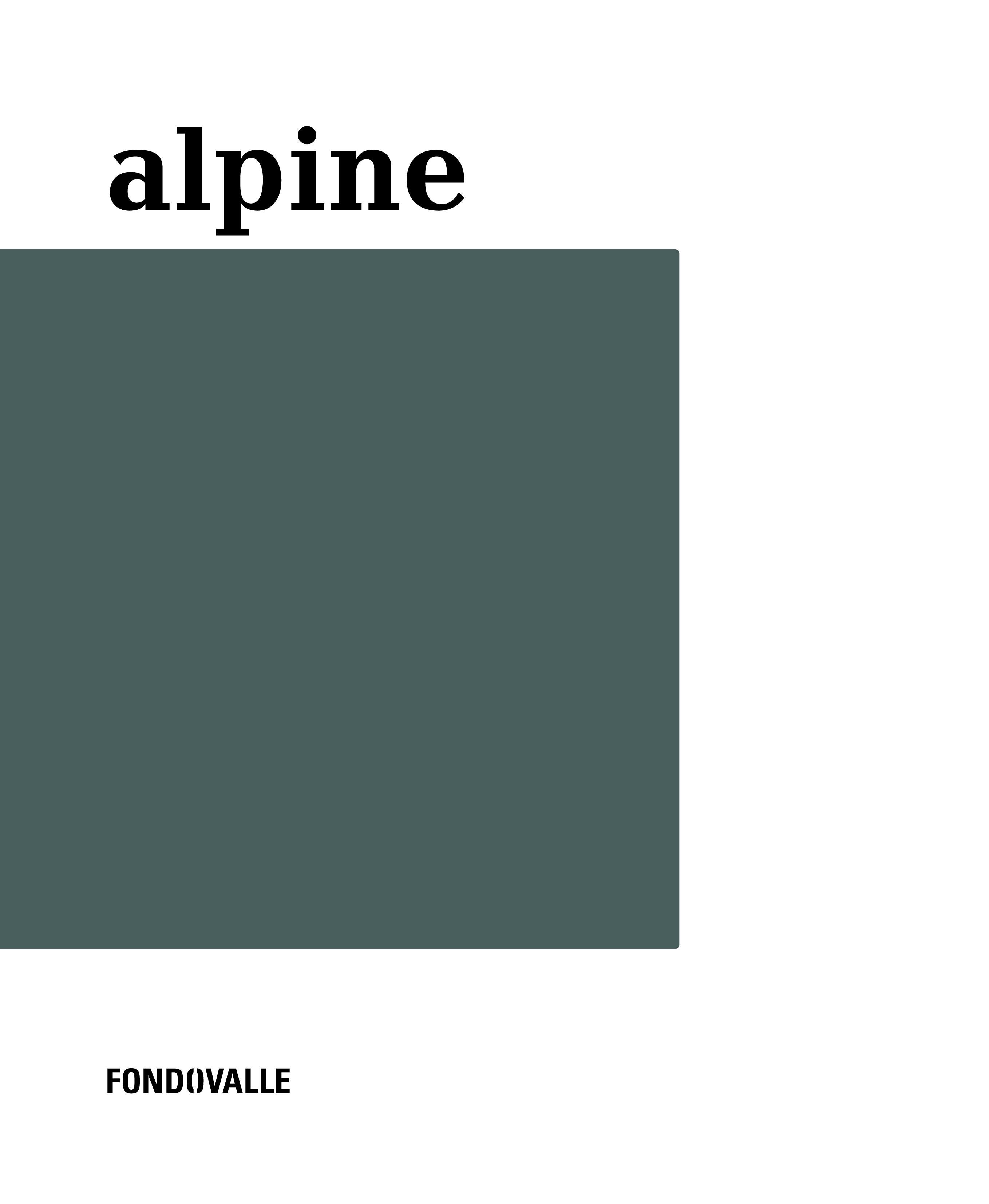 ALPINE_02_2025