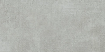 Style 157220192755 - Ceniza, Matt, 30.3x61.3cm, 9.00mm, Rectified