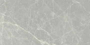 Exalt 760017 - Silver Light, Lucido, 30x60cm, 9.00mm, Rectified