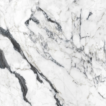 Les Bijoux 765759 - Calacatta Altissimo, Glossy, 120x120 cm, 6.00mm, Rectified