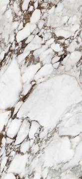 Les Bijoux 765699 - Breche Capraia, Glossy, 120x280 cm, 6.00mm, Rectified
