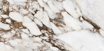 Les Bijoux 766333 - Breche Capraia, Glossy, 60x120cm, 9.00mm, Rectified