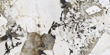 Patagonia L11PATA - Patagonia, Lappato campo pieno, 60x120cm, 9.00mm, Rectified