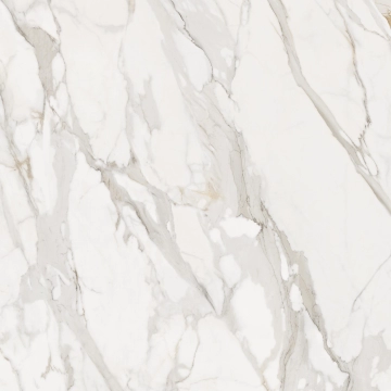 Calacatta Splendido 3.1CASP - Calacatta Splendido, Naturale, 120x120cm, 9.00mm, Rectified