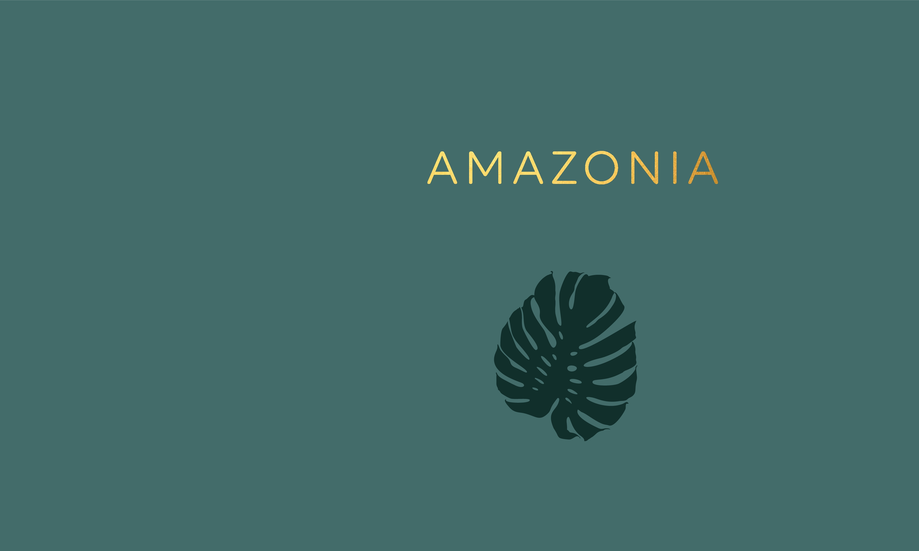 AMAZONIA_compressed