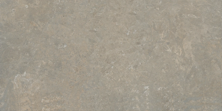 Arkistyle J211 - Fossil, Naturale, 60x120cm, 8.50mm, Rectified