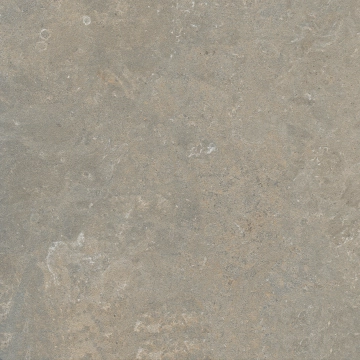 Arkistyle K137 - Fossil, Naturale, 60x60cm, 8.50mm, Rectified